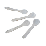Large Shell Spoons (Set of 4)