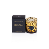 Apothecary Guild Cedar Leaf & Hinoki Cypress Candle