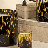 Apothecary Guild Cedar Leaf & Hinoki Cypress Candle