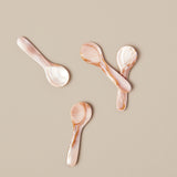 Mini Brown Shell Spoons, Set of 4