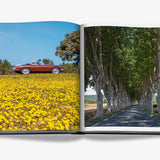 Provence Glory Book | Assouline