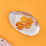 Seashell Footed Dish