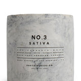 Concrete Glass Candle Sativa
